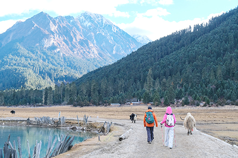 2025年11月9日清晨,徒步愛好者在西藏林芝巴松措以東30公里的新措體驗高原徒步。(中新社記者 江飛波 攝)