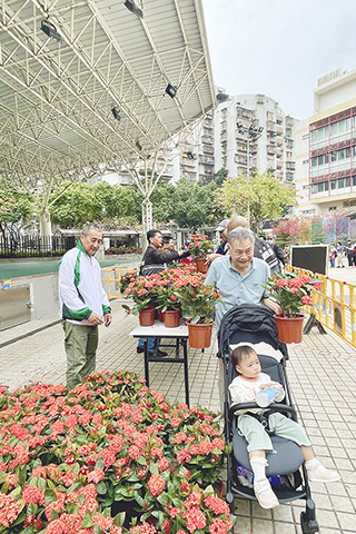 ◎ 不足廿分鐘,三百盆花卉全部派送。