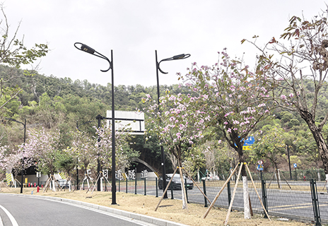 遠望天羽道隧道兩個行車隧道入口