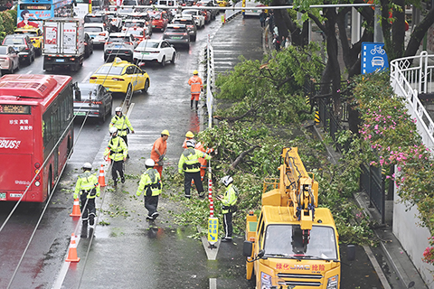 ◎ 三月三十日,在廣州市越秀區解放中路,工作人員在清理倒伏樹木。當日,廣東省廣州市出現強對流天氣。廣東應急管理部門提示,強對流天氣頻發,清明祭掃、外出踏青和高空、港區作業需注意防範雷電、局地冰雹及短時大風引發的樹木、廠房工棚、臨時構築物、戶外廣告牌倒塌等風險;要做好強降水及其引發的城鄉積澇、局地山洪、泥石流及山體滑坡等災害的防禦;雨時能見度低,注意水陸空交通安全。(新華社記者鄧華 攝)