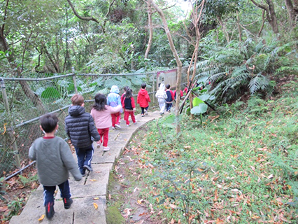 ◎ 田園區找三葉草