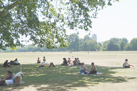◎ 五月二十五日,在英國倫敦的海德公園,人們在樹蔭下避暑。(新華社記者 于艾岑 攝)