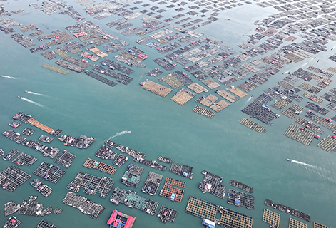 圖為2025年9月13日,中國福建省東山縣海域上的養殖區(無人機照片)。(中新社記者張斌 攝)