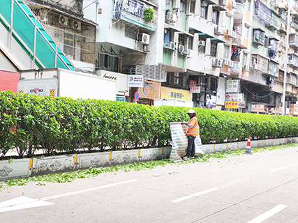 市政人員修剪路樹