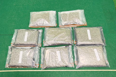 ◎ 九月十三日,香港海關公佈(九月十二日)及(九月十三日)在香港國際機場偵破兩宗涉及航空入境旅客的販毒案件,共檢獲約九公斤懷疑大麻花,估計市值約一百八十萬元。圖為首宗案件中檢獲的懷疑大麻花。(香港中通社)