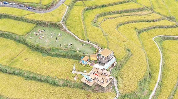 10月3日,浙江龍泉李山頭村,千畝梯田引客來(無人機照片)。(張偉 攝)