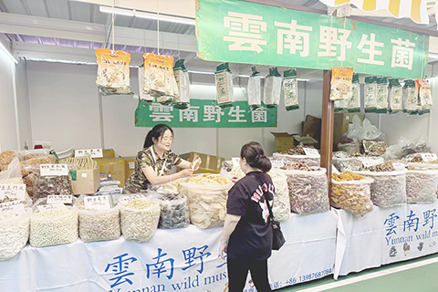 ◎ 十月廿四日,第十三屆香港美食嘉年華於葵涌運動場開幕,雲南野生菌攤位成為滋補品類裡的新亮點。(中新社記者 戴小橦 攝)